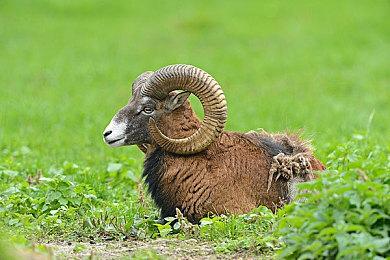 《往日不再》开发商下一款作品将采用运动匹配技术